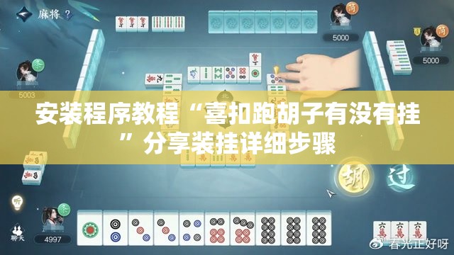 安装程序教程“喜扣跑胡子有没有挂	”分享装挂详细步骤