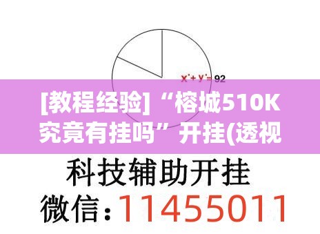 [教程经验]“榕城510K究竟有挂吗”开挂(透视)辅助神器