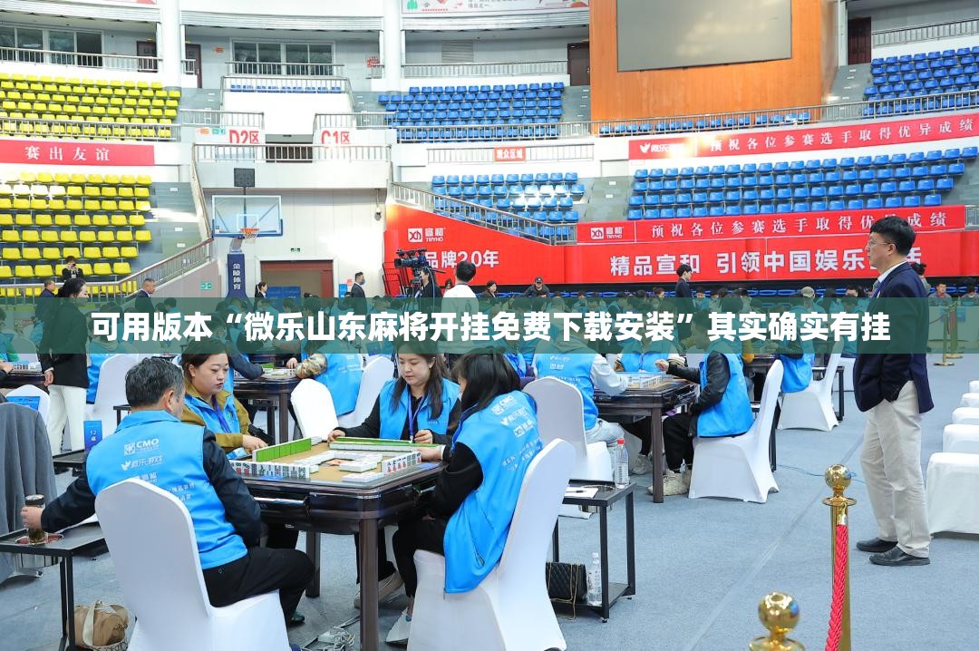 可用版本“微乐山东麻将开挂免费下载安装”其实确实有挂