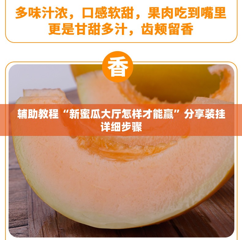 辅助教程“新蜜瓜大厅怎样才能赢”分享装挂详细步骤