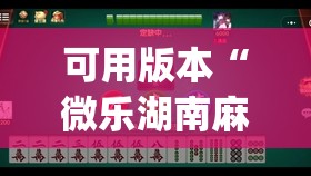 可用版本“微乐湖南麻将有挂吗多少钱”(透视挂)辅助透视教程