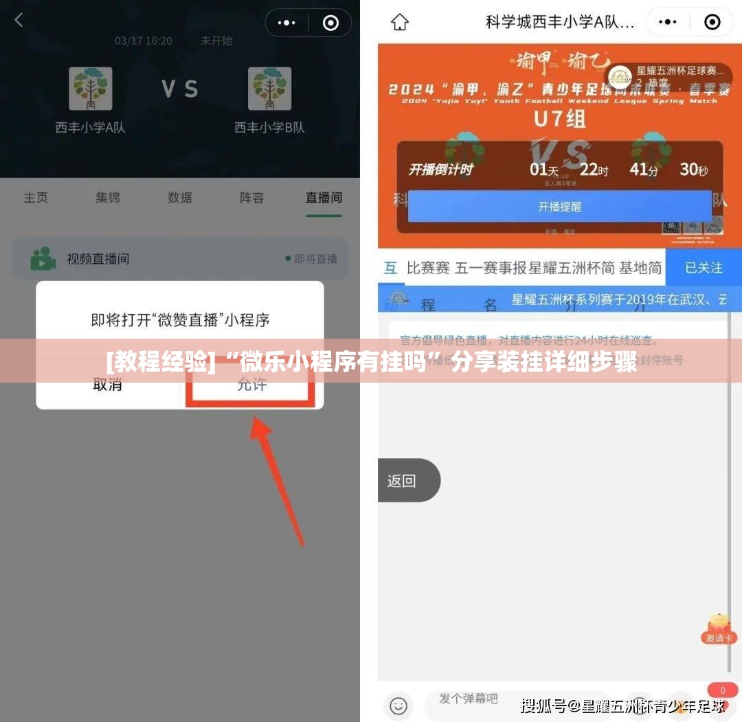 [教程经验]“微乐小程序有挂吗”分享装挂详细步骤