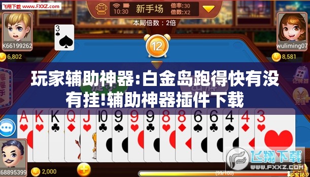 玩家辅助神器:白金岛跑得快有没有挂!辅助神器插件下载
