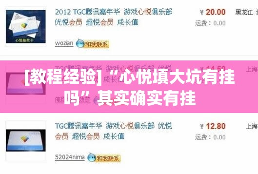 [教程经验]“心悦填大坑有挂吗”其实确实有挂