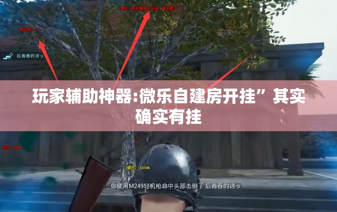 玩家辅助神器:微乐自建房开挂	”其实确实有挂