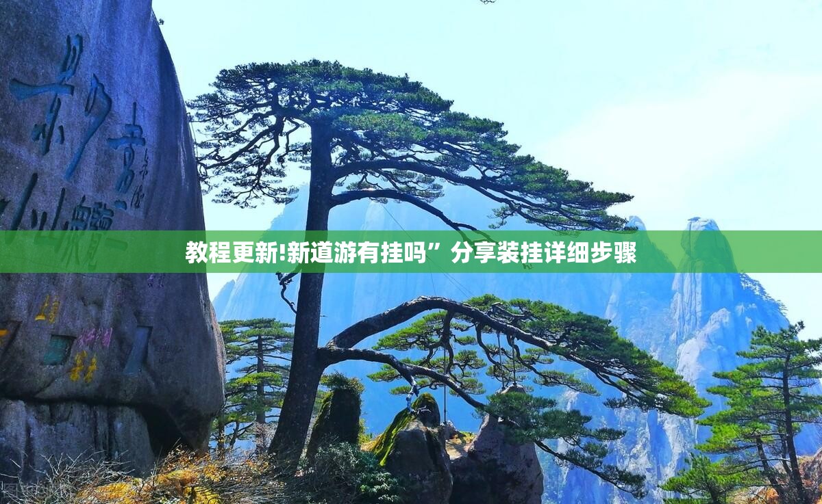 教程更新!新道游有挂吗”分享装挂详细步骤
