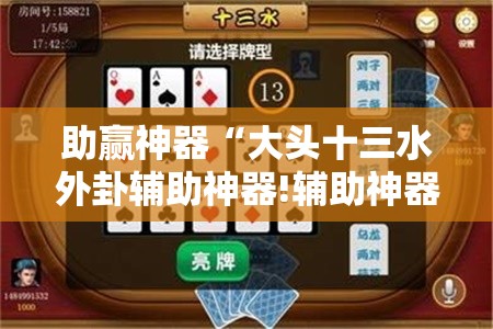 助赢神器“大头十三水外卦辅助神器!辅助神器插件下载