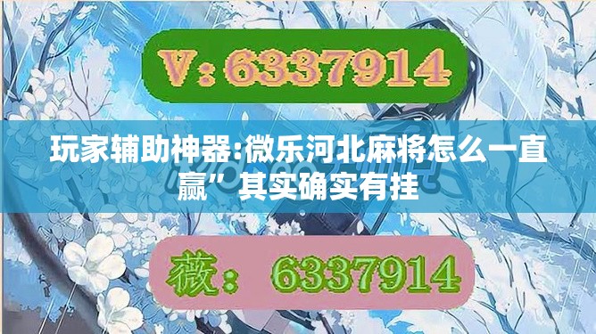 玩家辅助神器:微乐河北麻将怎么一直赢”其实确实有挂