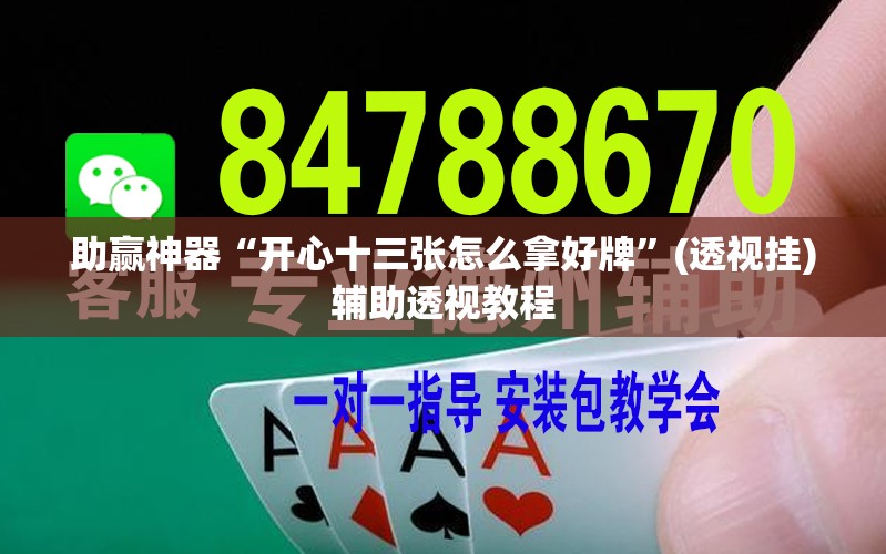 助赢神器“开心十三张怎么拿好牌	”(透视挂)辅助透视教程