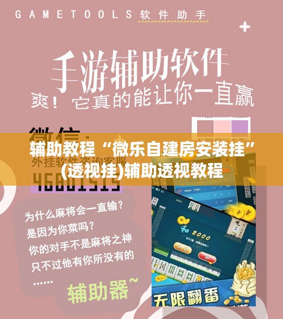 辅助教程“微乐自建房安装挂”(透视挂)辅助透视教程