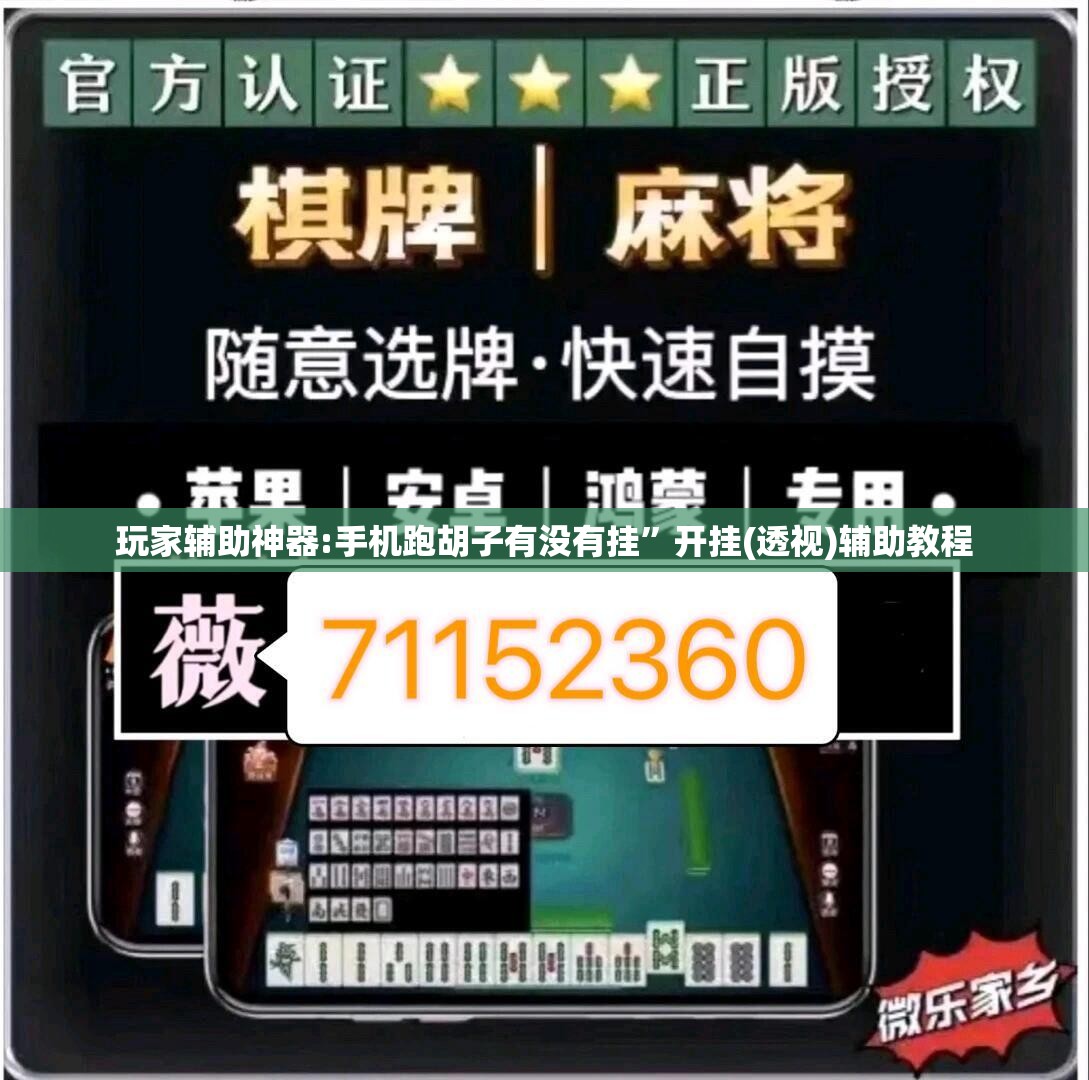 玩家辅助神器:手机跑胡子有没有挂”开挂(透视)辅助教程