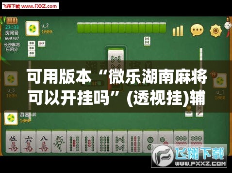 可用版本“微乐湖南麻将可以开挂吗”(透视挂)辅助透视教程