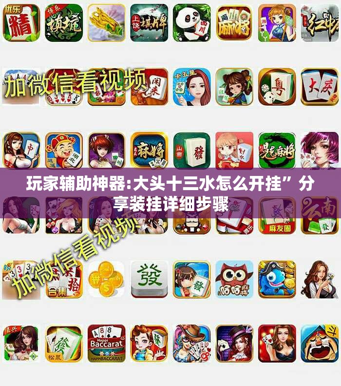 玩家辅助神器:大头十三水怎么开挂”分享装挂详细步骤