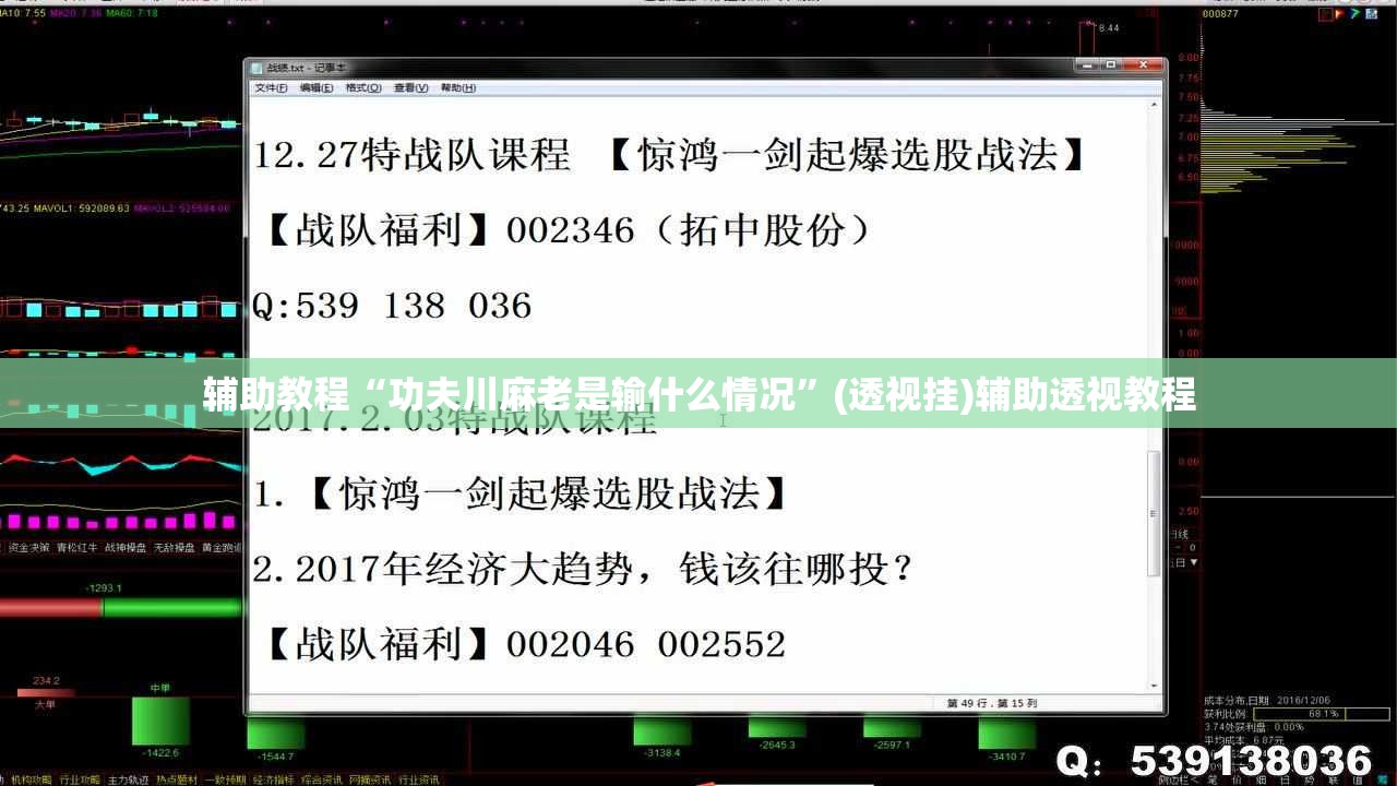 辅助教程“功夫川麻老是输什么情况”(透视挂)辅助透视教程