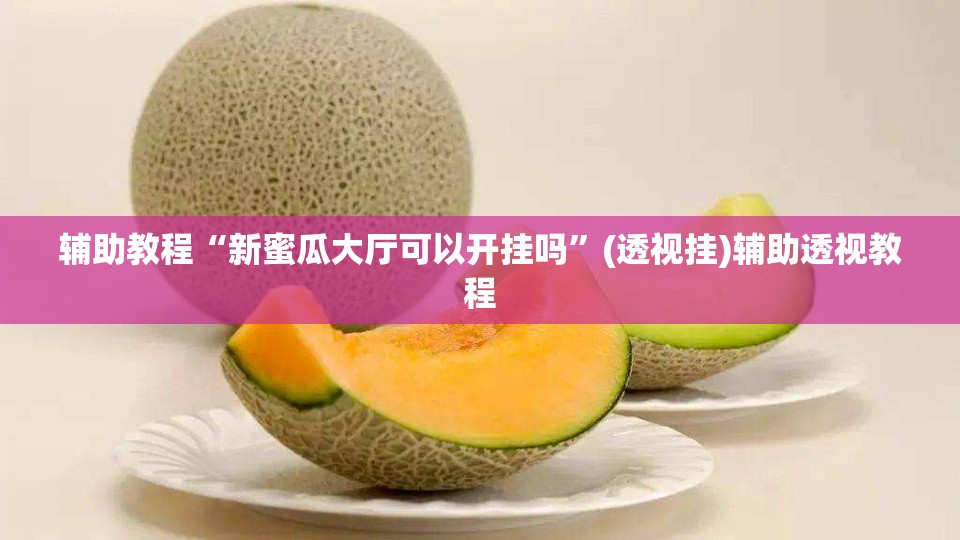 辅助教程“新蜜瓜大厅可以开挂吗”(透视挂)辅助透视教程