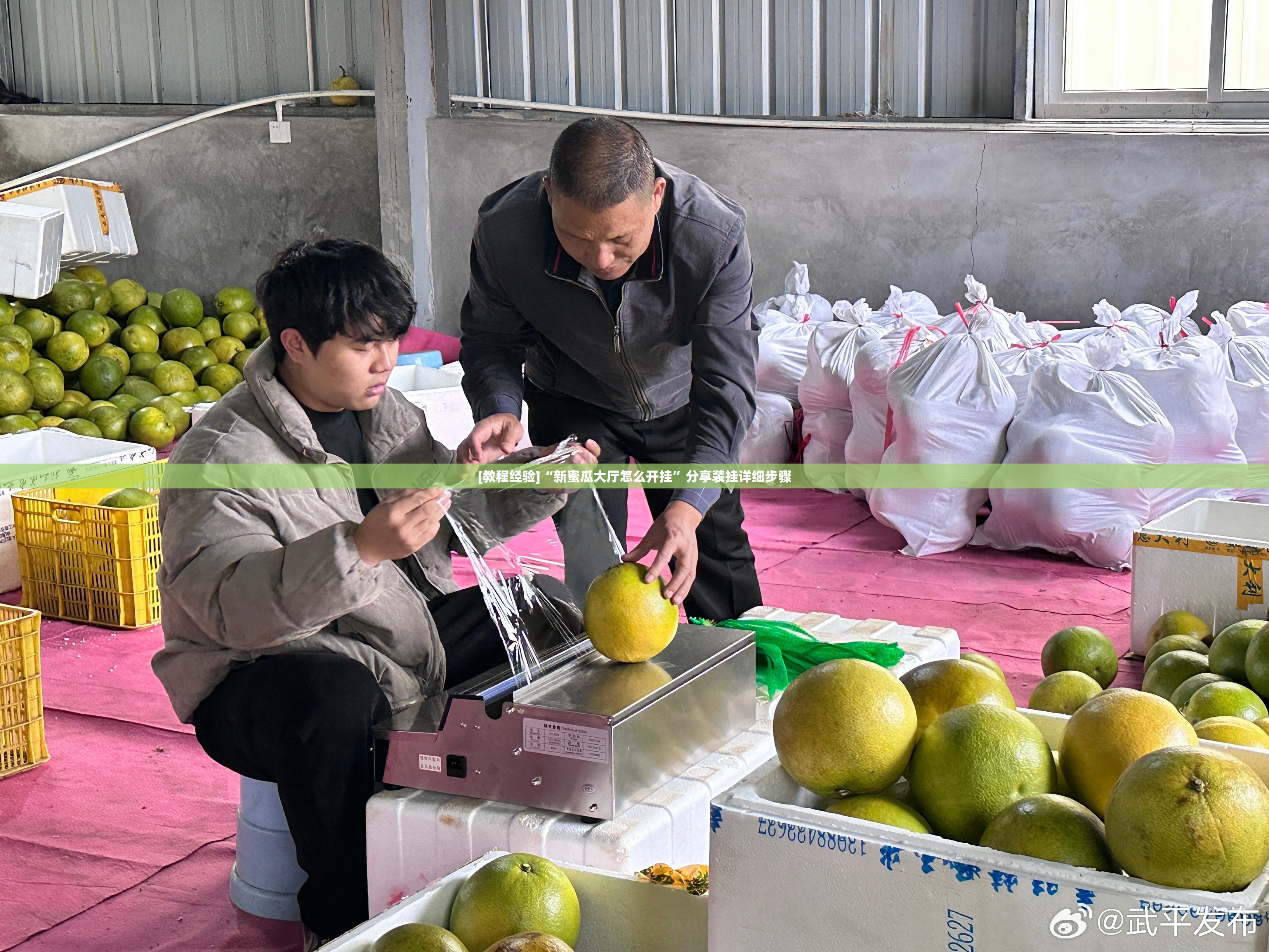 [教程经验]“新蜜瓜大厅怎么开挂	”分享装挂详细步骤