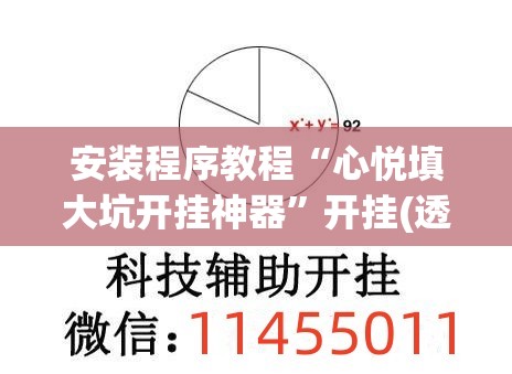 安装程序教程“心悦填大坑开挂神器”开挂(透视)辅助神器
