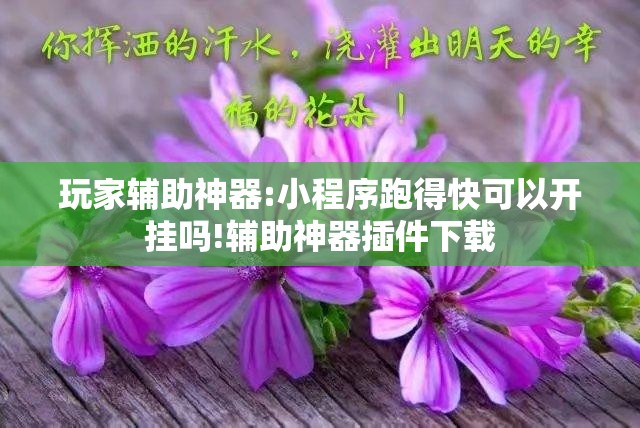 玩家辅助神器:小程序跑得快可以开挂吗!辅助神器插件下载