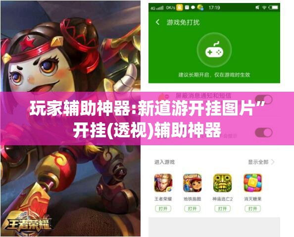 玩家辅助神器:新道游开挂图片	”开挂(透视)辅助神器
