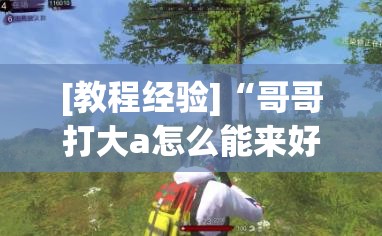 [教程经验]“哥哥打大a怎么能来好牌	”开挂(透视)辅助教程