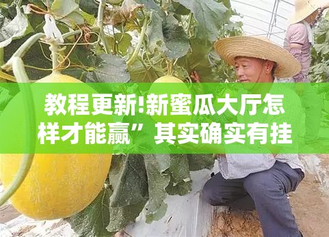 教程更新!新蜜瓜大厅怎样才能赢”其实确实有挂