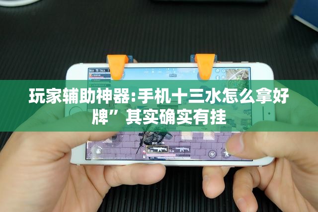 玩家辅助神器:手机十三水怎么拿好牌”其实确实有挂