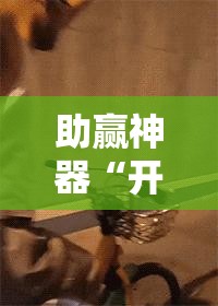 助赢神器“开心十三张开挂方法”其实确实有挂