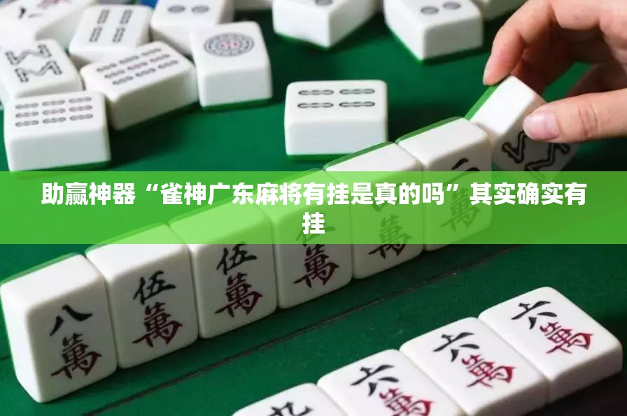 助赢神器“雀神广东麻将有挂是真的吗”其实确实有挂