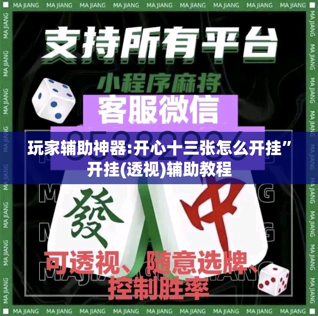 玩家辅助神器:开心十三张怎么开挂”开挂(透视)辅助教程