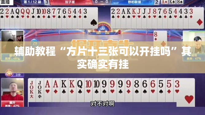 辅助教程“方片十三张可以开挂吗	”其实确实有挂