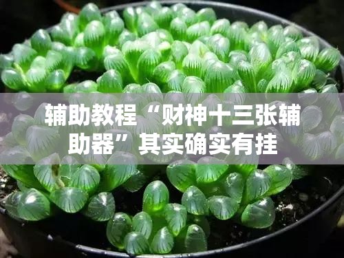 辅助教程“财神十三张辅助器	”其实确实有挂