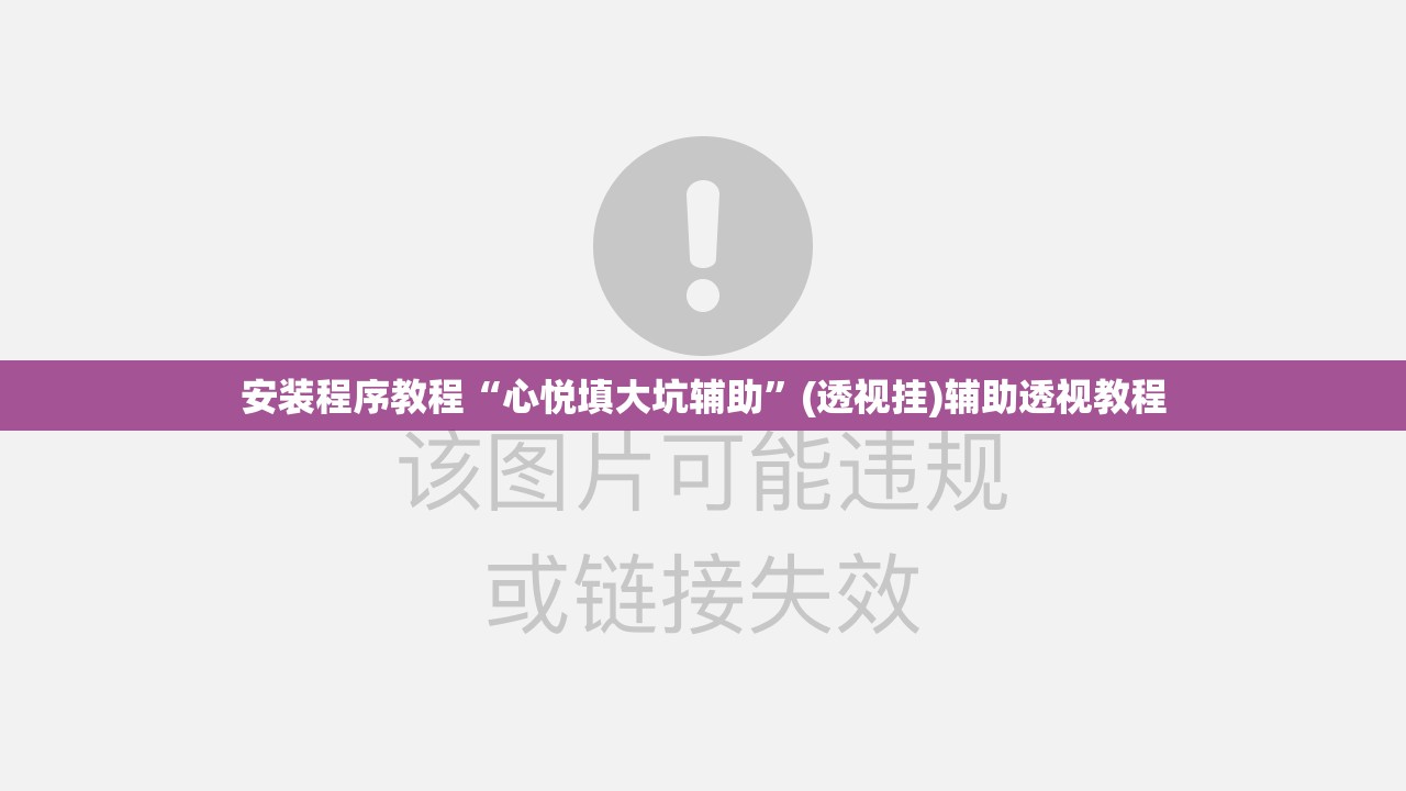 安装程序教程“心悦填大坑辅助	”(透视挂)辅助透视教程