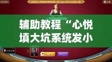 辅助教程“心悦填大坑系统发小牌的解决方法	”分享装挂详细步骤