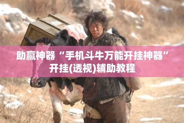 助赢神器“手机斗牛万能开挂神器”开挂(透视)辅助教程