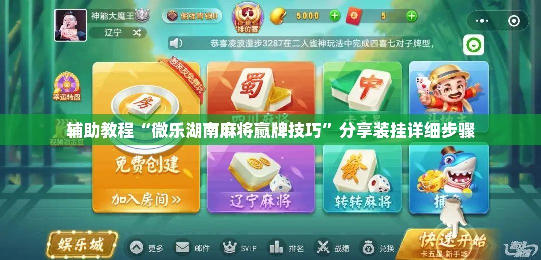 辅助教程“微乐湖南麻将赢牌技巧”分享装挂详细步骤