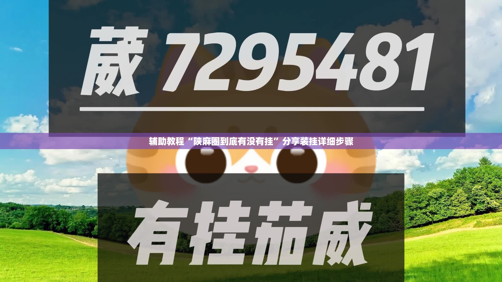 辅助教程“陕麻圈到底有没有挂”分享装挂详细步骤