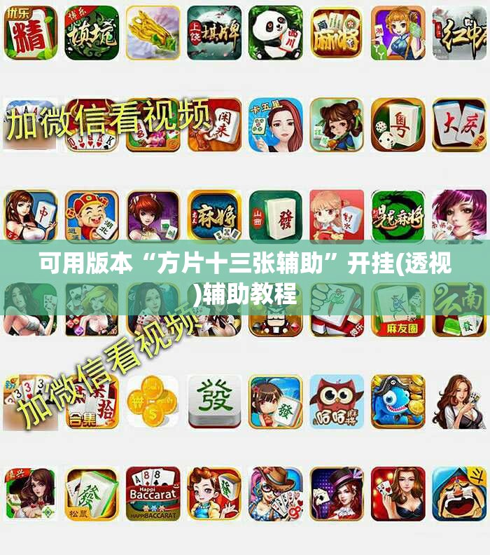 可用版本“方片十三张辅助”开挂(透视)辅助教程