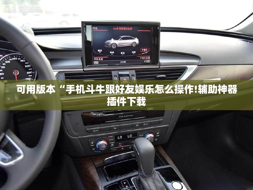 可用版本“手机斗牛跟好友娱乐怎么操作!辅助神器插件下载