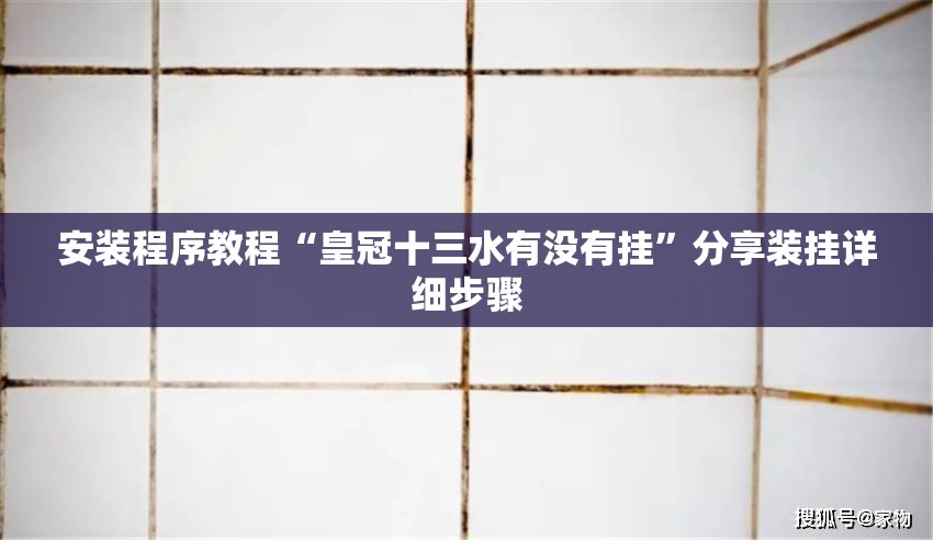 安装程序教程“皇冠十三水有没有挂	”分享装挂详细步骤