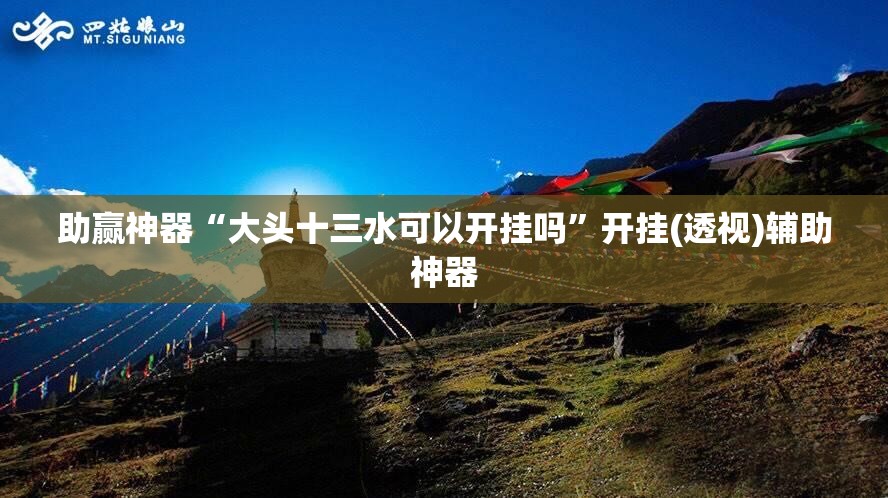 助赢神器“大头十三水可以开挂吗	”开挂(透视)辅助神器