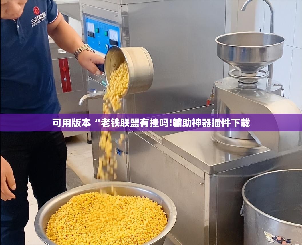 可用版本“老铁联盟有挂吗!辅助神器插件下载