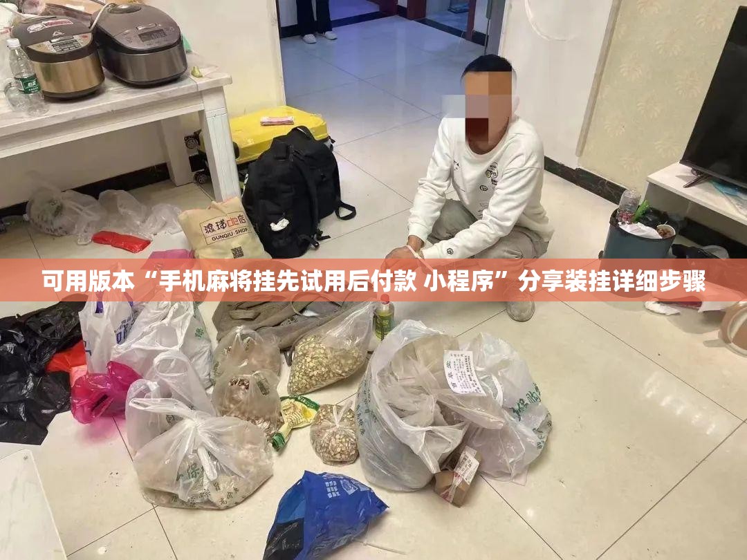 可用版本“手机麻将挂先试用后付款 小程序”分享装挂详细步骤