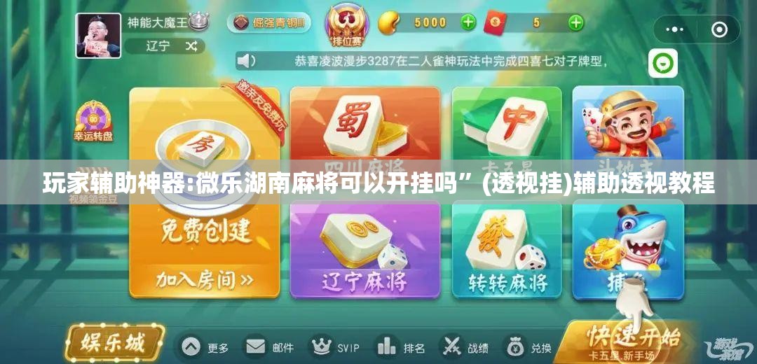 玩家辅助神器:微乐湖南麻将可以开挂吗”(透视挂)辅助透视教程