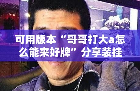 可用版本“哥哥打大a怎么能来好牌”分享装挂详细步骤