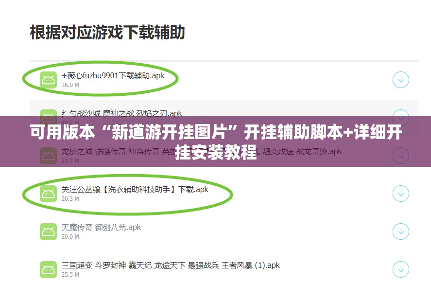可用版本“新道游开挂图片”开挂辅助脚本+详细开挂安装教程