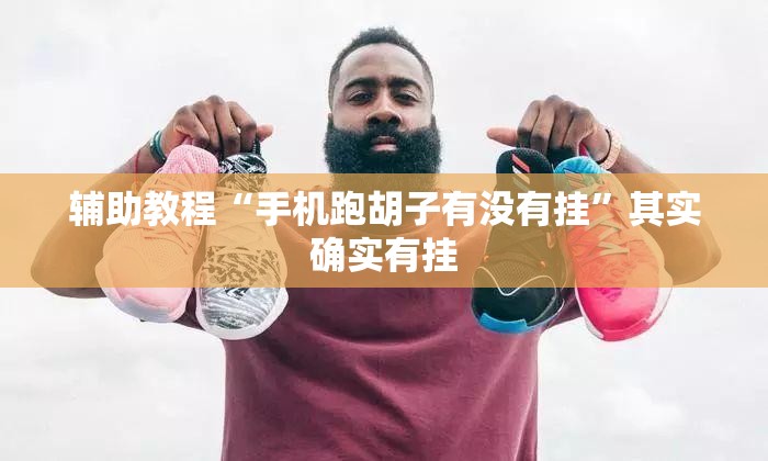 辅助教程“手机跑胡子有没有挂”其实确实有挂