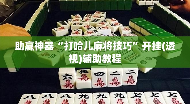 助赢神器“打哈儿麻将技巧”开挂(透视)辅助教程