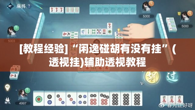 [教程经验]“闲逸碰胡有没有挂”(透视挂)辅助透视教程