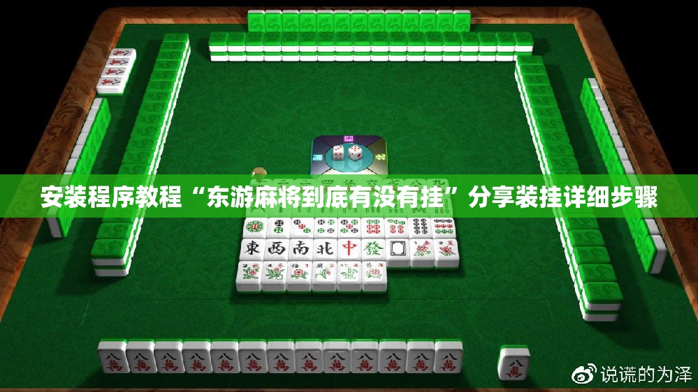 安装程序教程“东游麻将到底有没有挂	”分享装挂详细步骤
