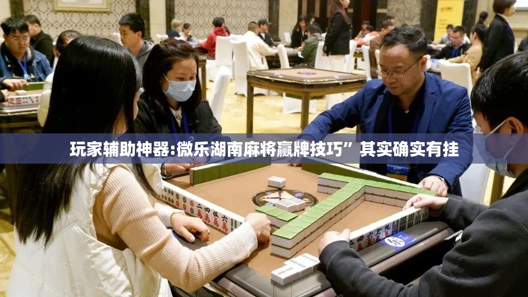 玩家辅助神器:微乐湖南麻将赢牌技巧	”其实确实有挂